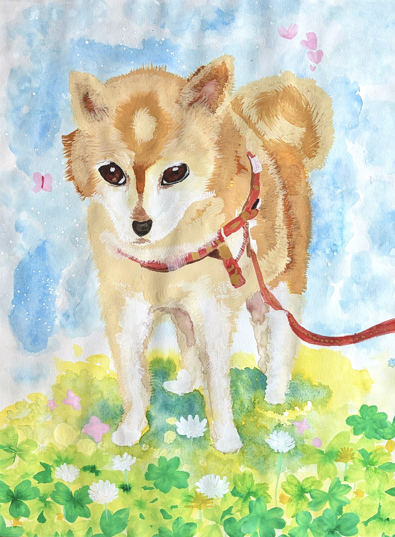 柴犬を描いた小学2年生の自由作品